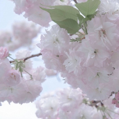 Furry插画光影处理兽圈群